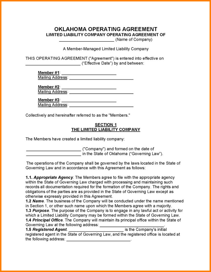 Example of Limited Liability Operating Agreement Template