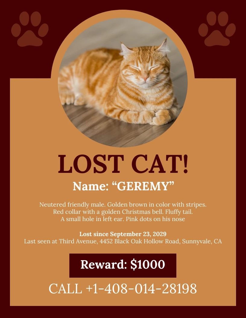 Example of Missing Cat Poster Template