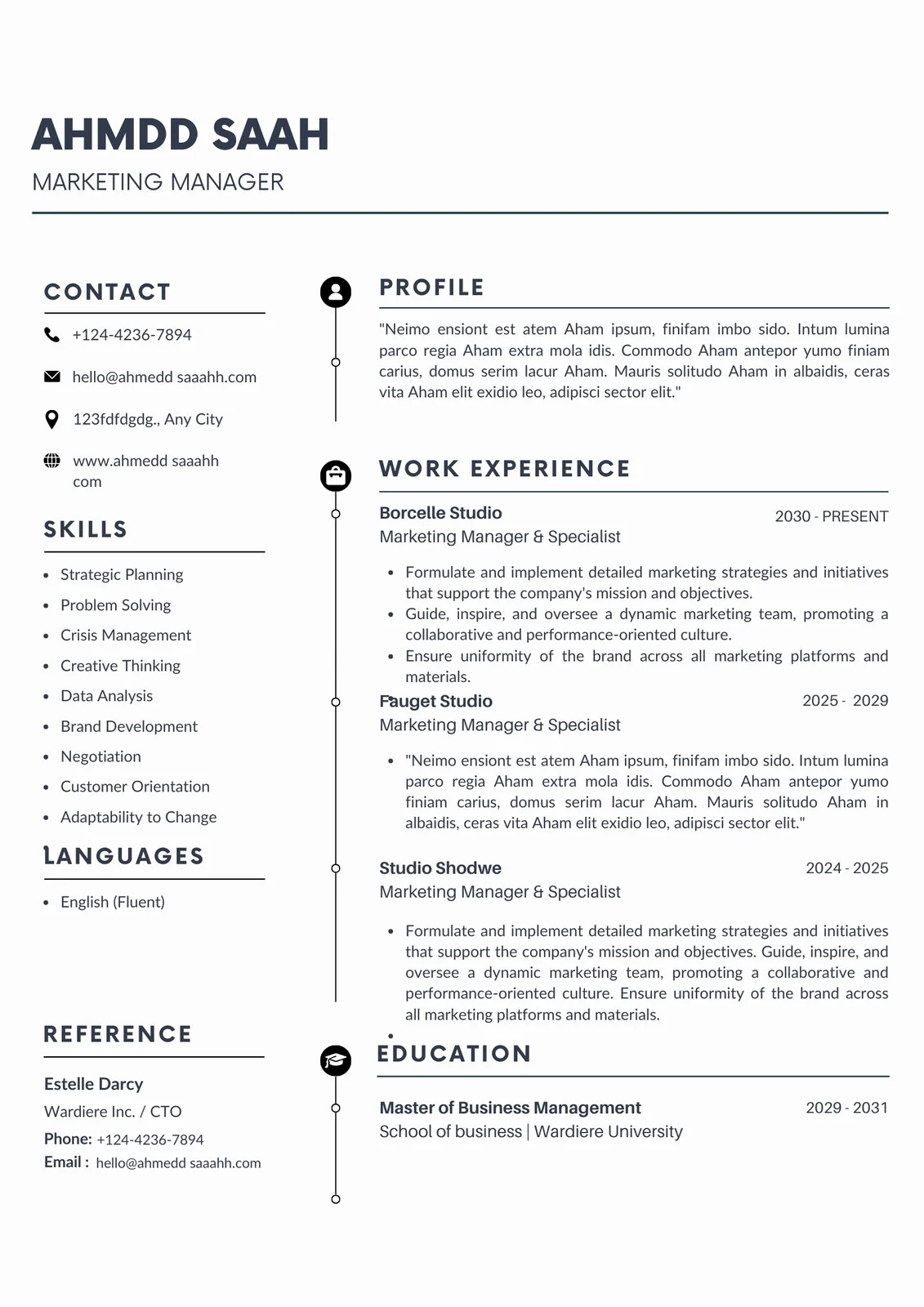 Example of Modern Resume Template