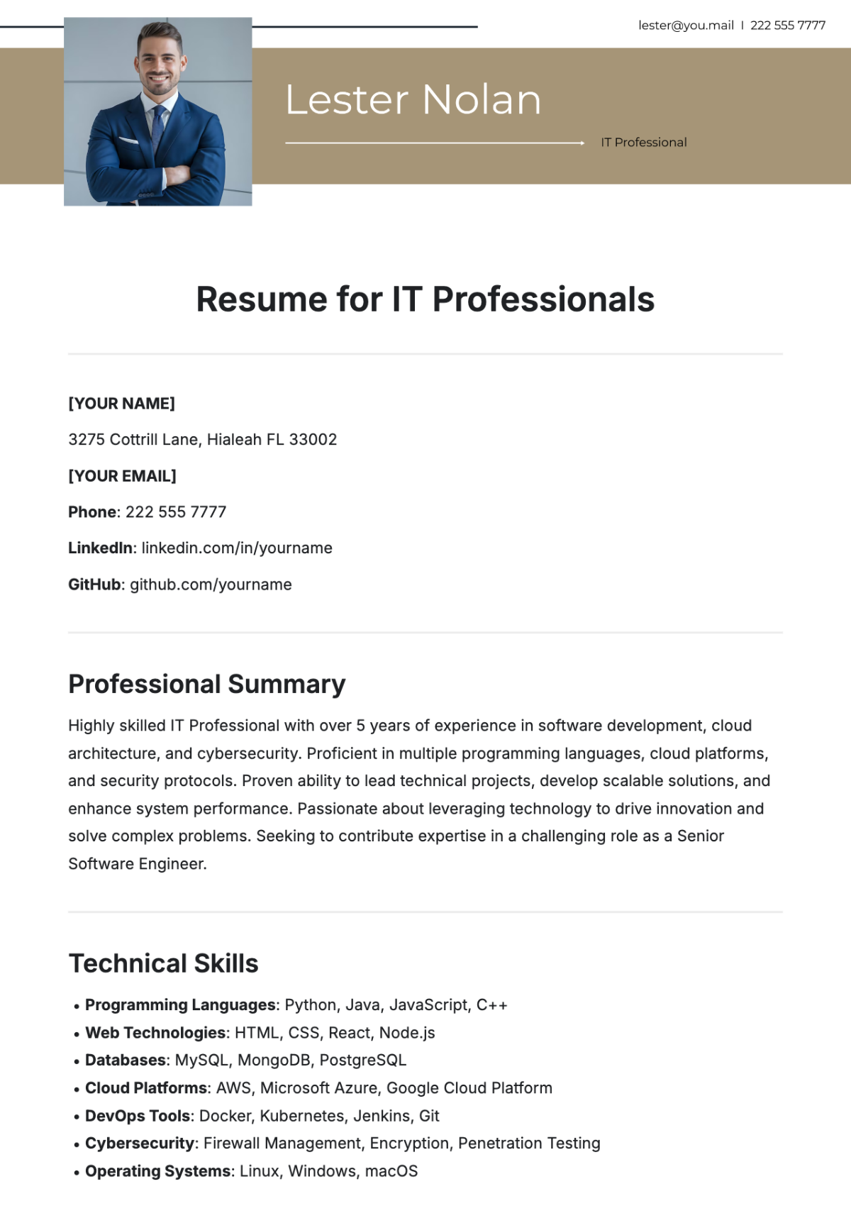 IT resume template free download IT resume template free download