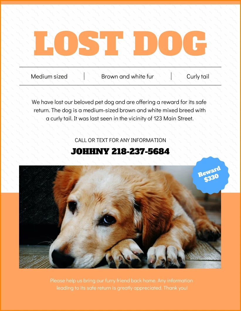 Missing Dog Poster Template Sample