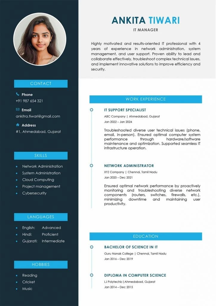 Modern Resume Template Example