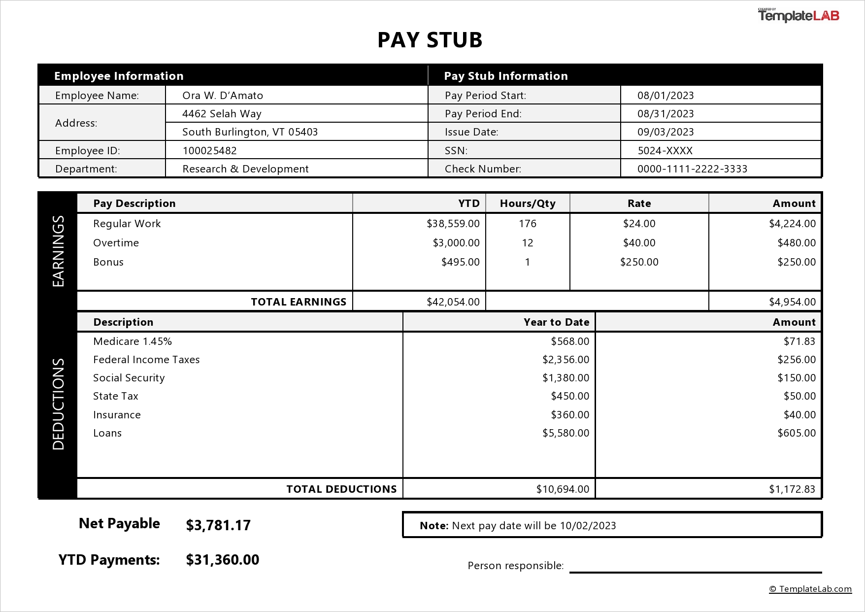 Pay Stub Template Pay Stub Template