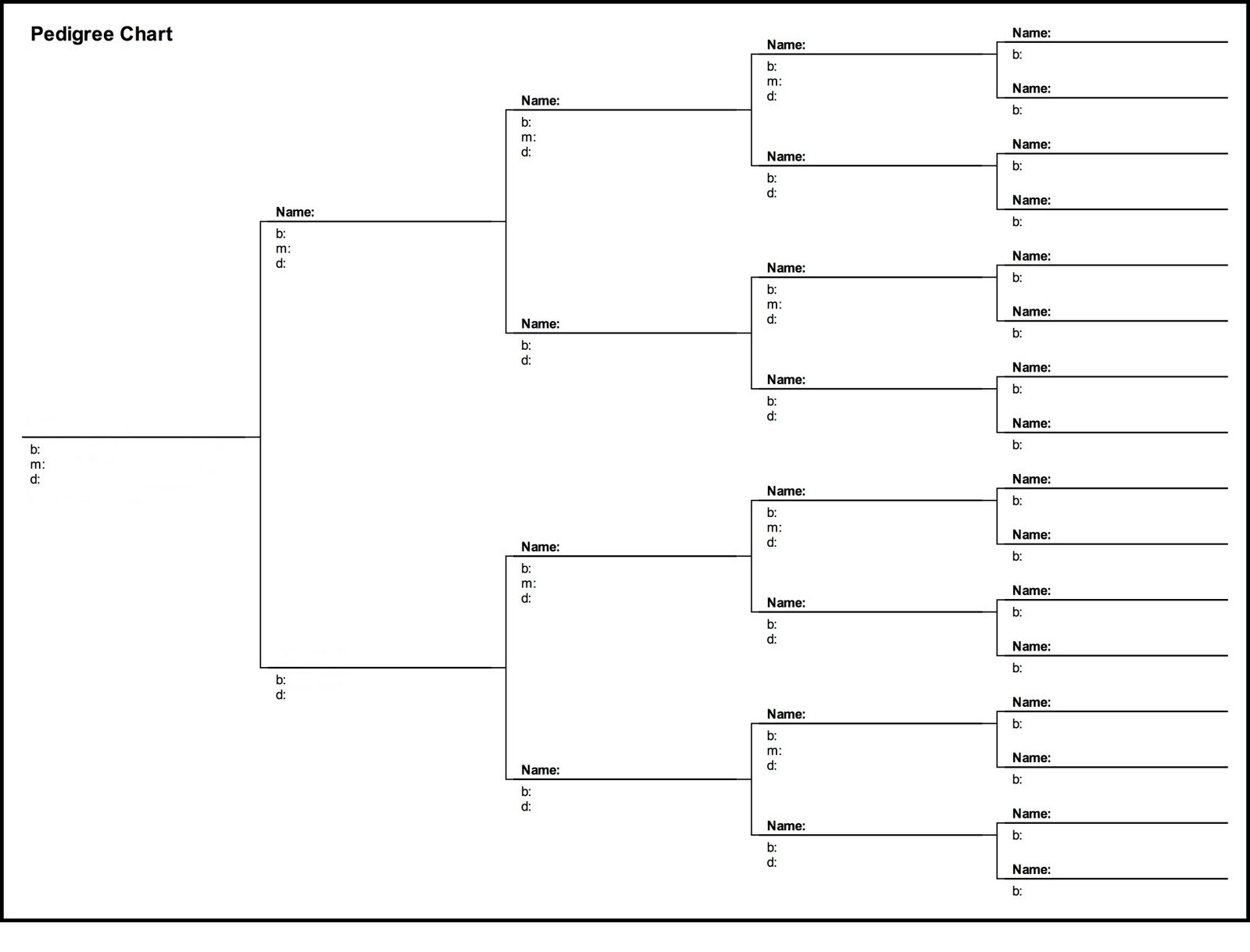 Pedigree Chart Template