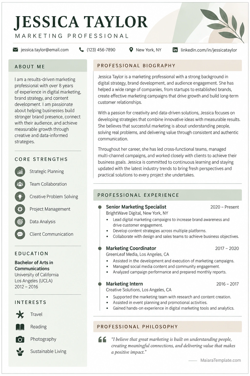 Professional Biography Sample Layout With Career Summary, Core Skills, Education, Work Experience, and Professional Philosophy