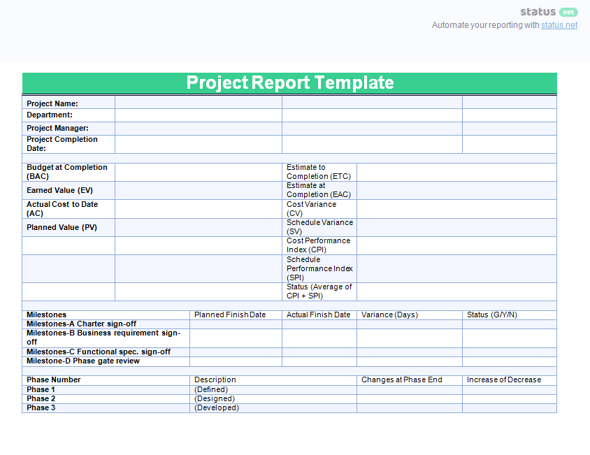 Project Report Template