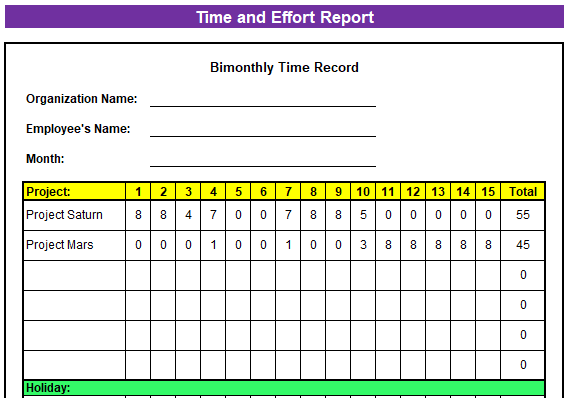 Project Timesheet Template
