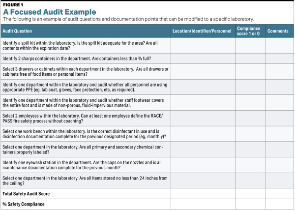 Safety Audit Checklist Template