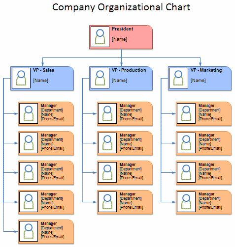 Sample Organization Chart Template Sample Organization Chart Template