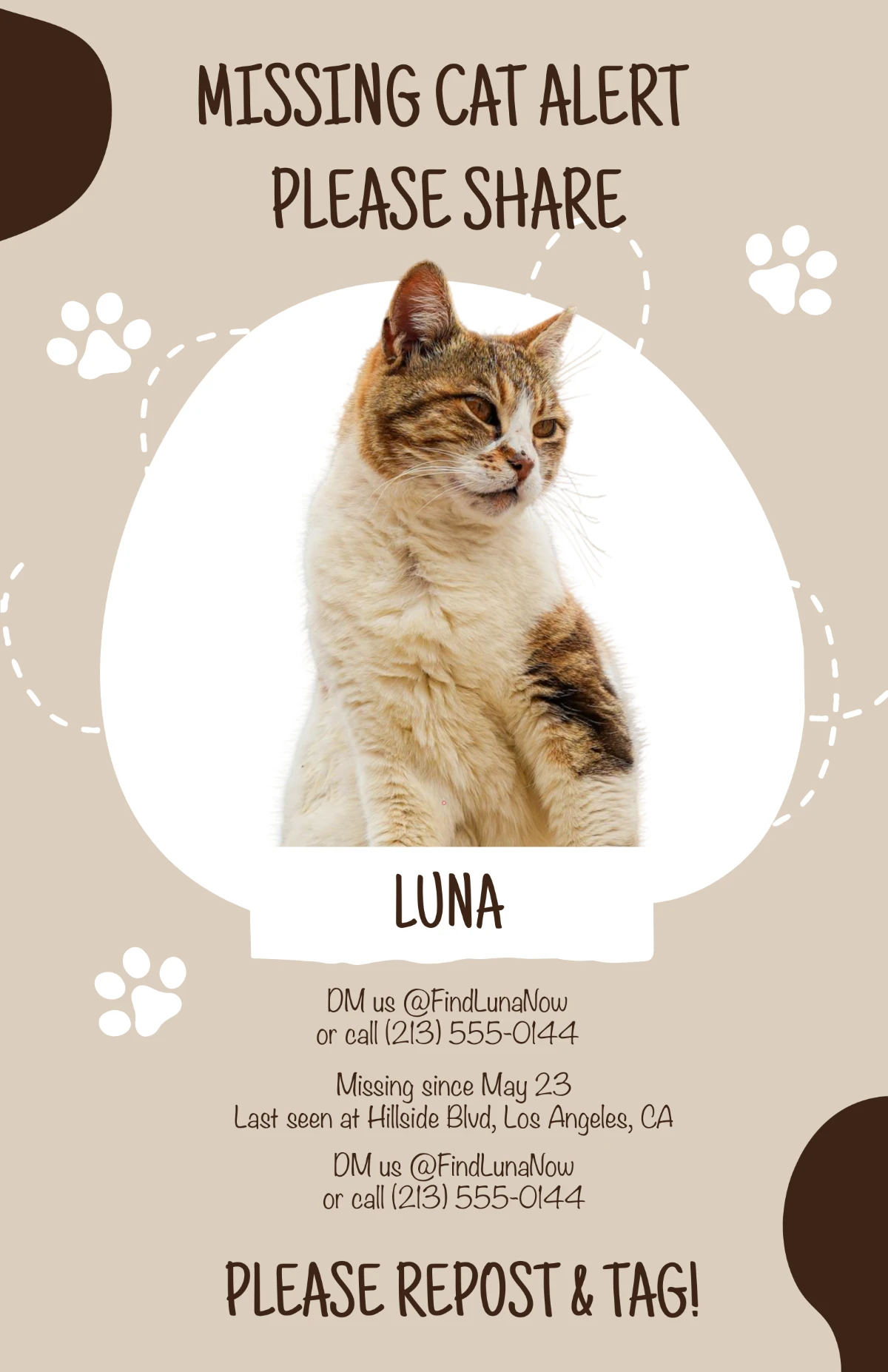 Sample of Missing Cat Poster Template