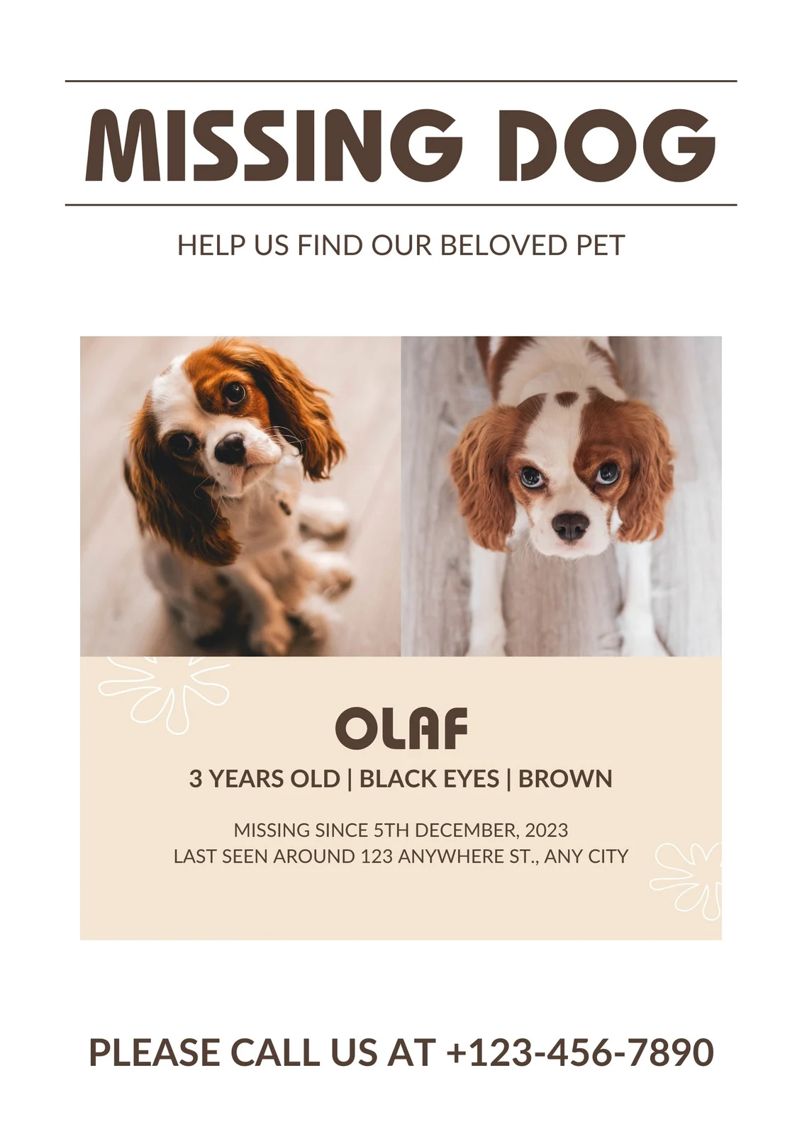 Sample of Missing Dog Poster Template