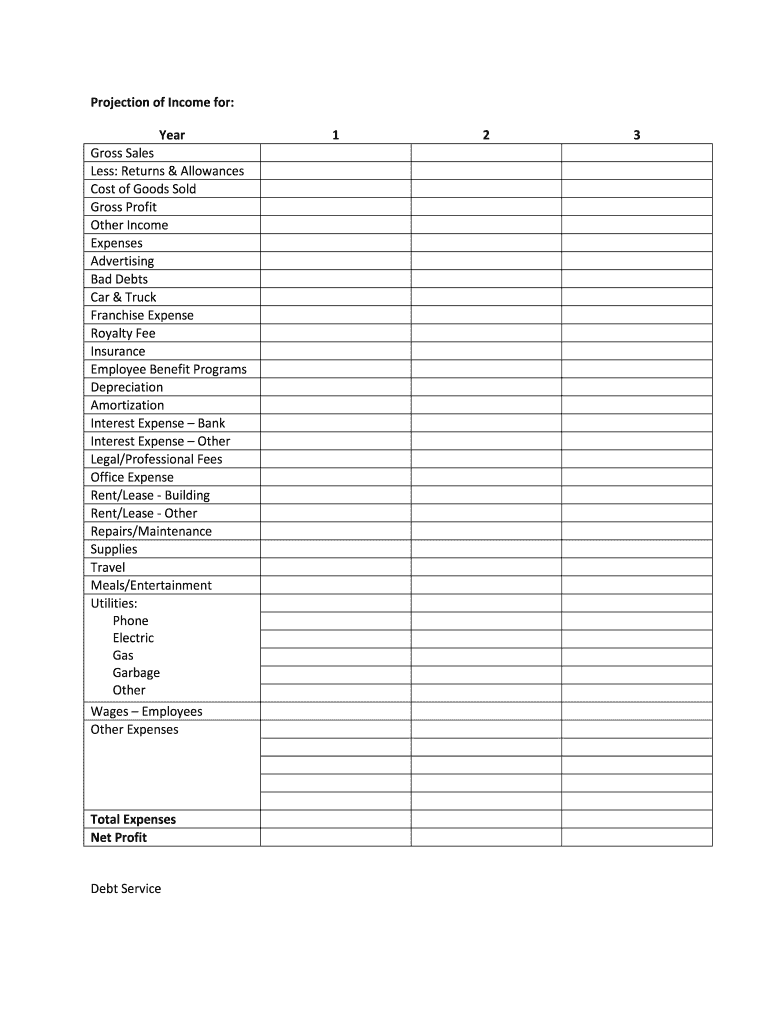 Sample of Year-to-date Profit And Loss Statement Template
