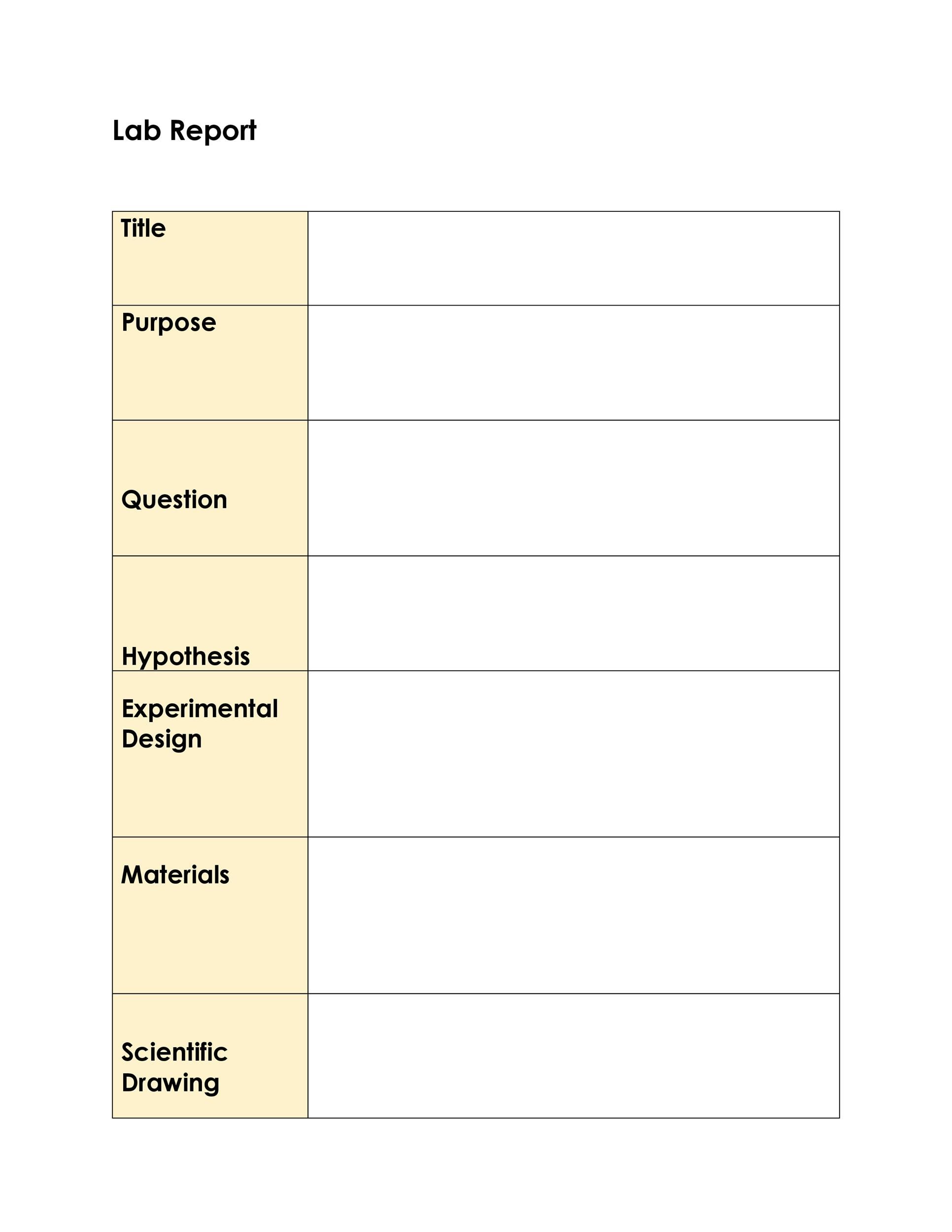 college lab report template