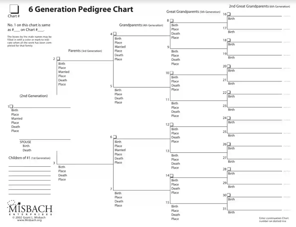 free blank Pedigree chart